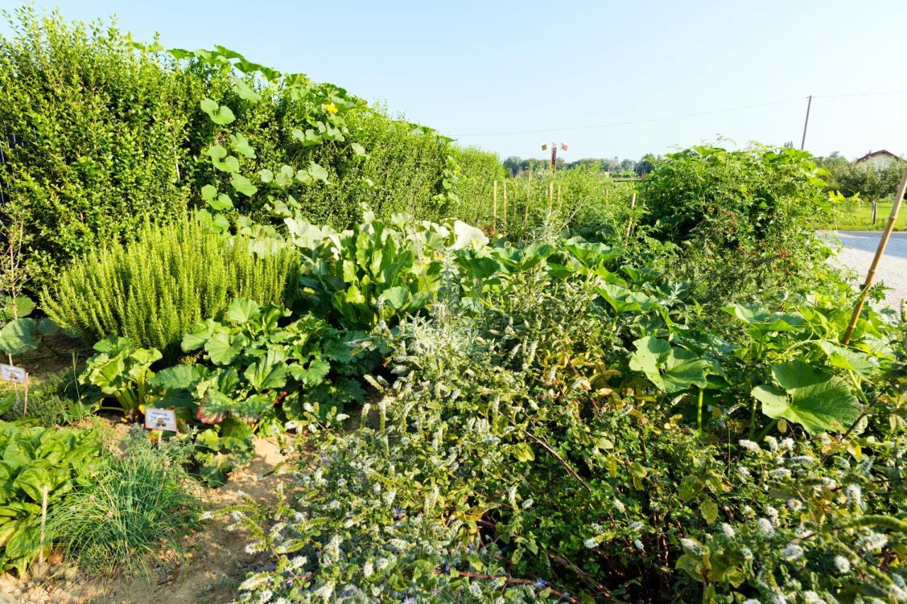 Hotel Auberge De Chavannes Courlans Εξωτερικό φωτογραφία